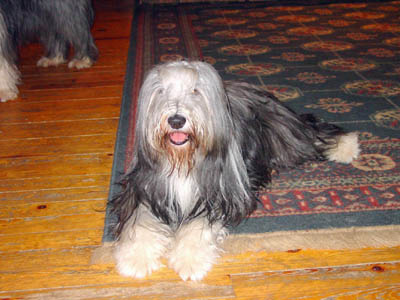 Betsy watching her mommy who is in the kitchen; a happy girl.